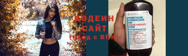 дмт Елабуга