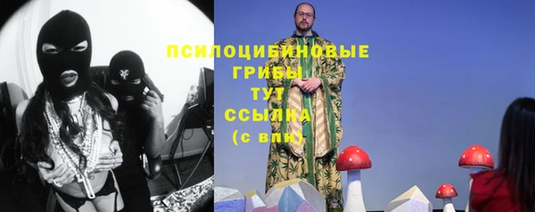 дмт Елизово