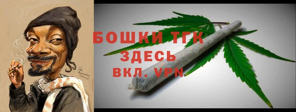 дмт Елабуга