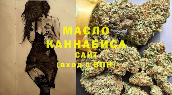 дмт Елизово