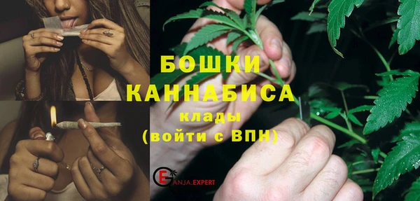 дмт Елизово