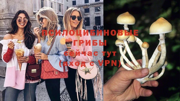 дмт Елабуга